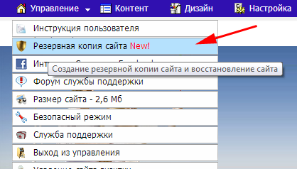 Выбираем пункт ''Резервная копия сайта'' в меню ''Управление''