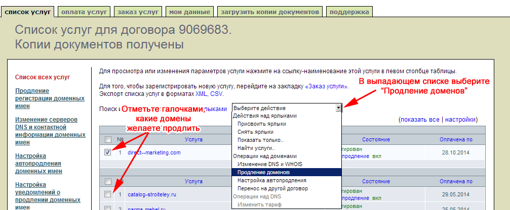 Подача заявки на продление доменов