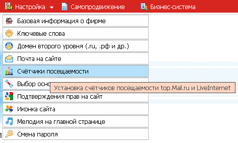 Выбираем пункт ''Счётчики посещаемости'' в меню ''Настройка''